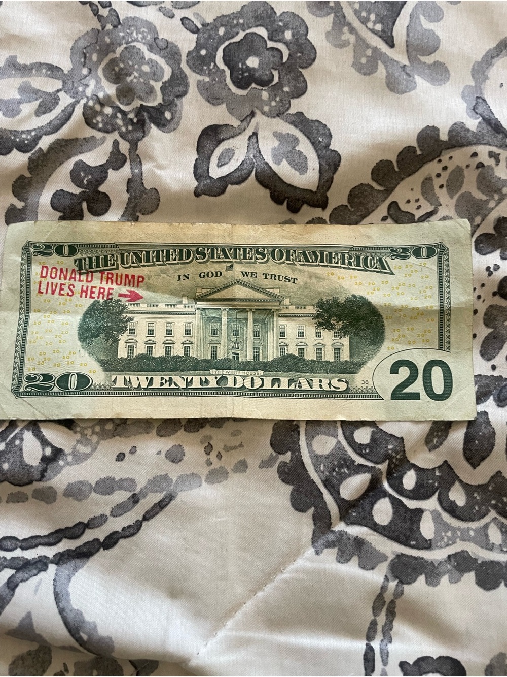 Men's Novelty Twenty Dollar Bill Print - Green